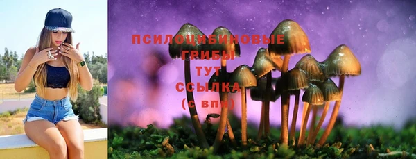 СК Абдулино